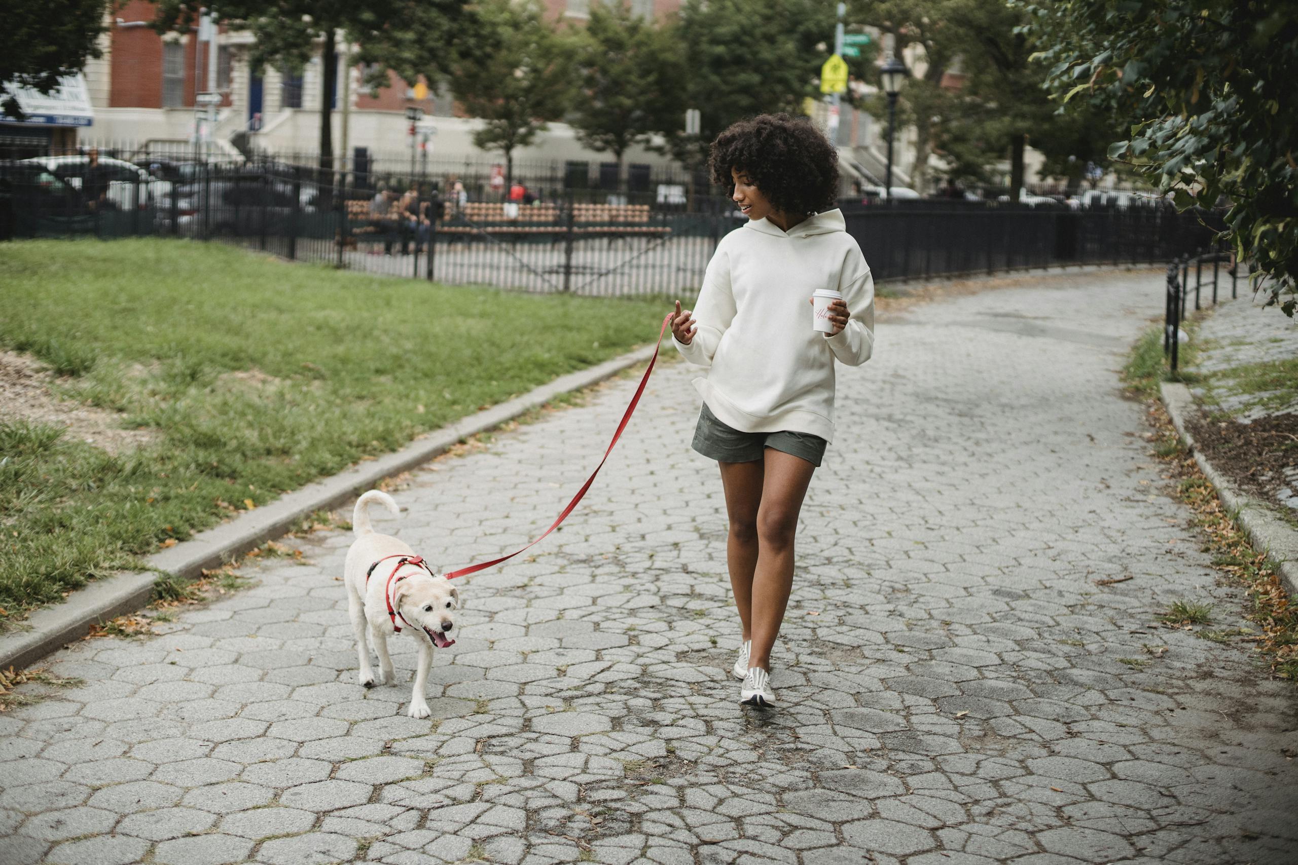 Woman strolling with her dog on a city sidewalk, enjoying a to-go coffee.