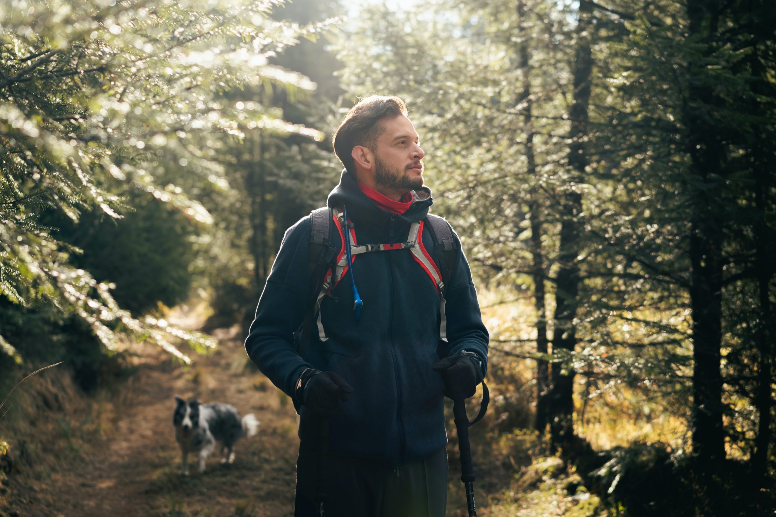The Mindless Meditator website header banner walking hike